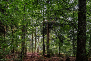 Similar image 10454884