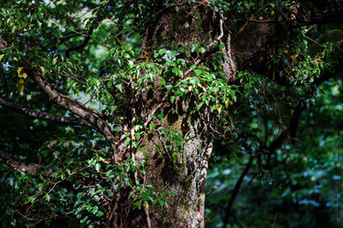 Similar image 10454885