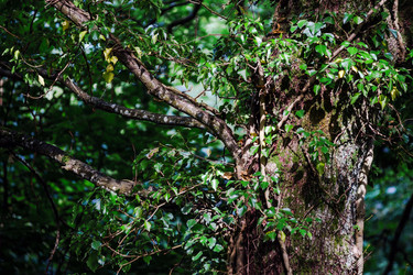 Similar image 10454886