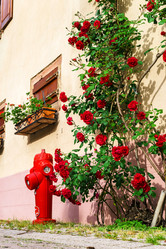 Similar image 10454887