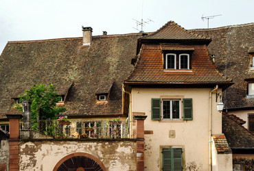 Similar image 10454888