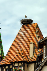 Similar image 10454897