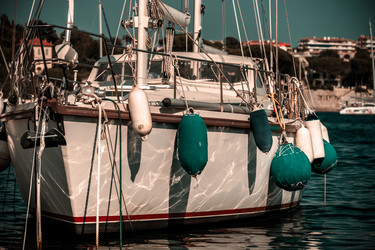 Similar image 10454900