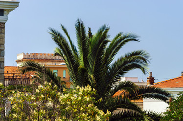 Similar image 10454909