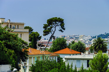 Similar image 10454917