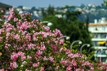 Similar image 10454921