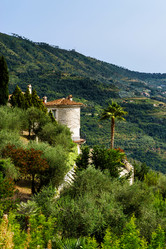 Similar image 10454930