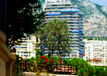 Similar image 10454963