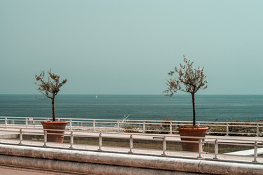 Similar image 10454969