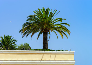 Similar image 10454970