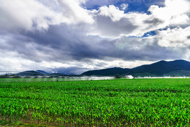 Similar image 10455008