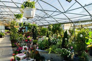 Similar image 10455058