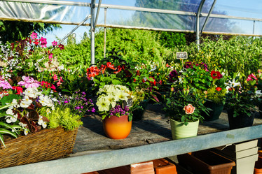 Similar image 10455073