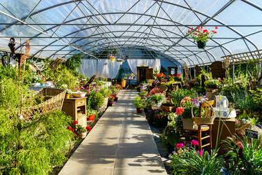 Similar image 10455074