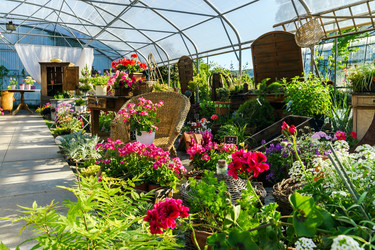 Similar image 10455077