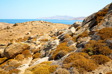 Similar image 10455115