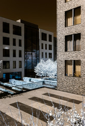 Similar image 10455179