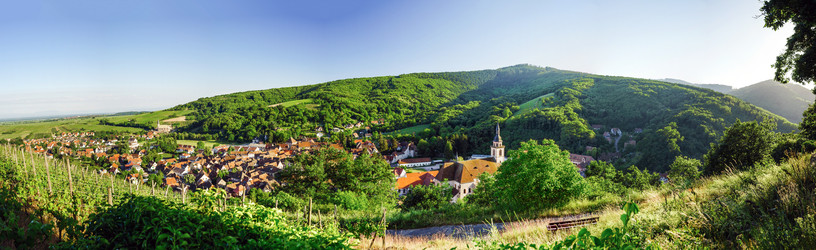 Similar image 10455193