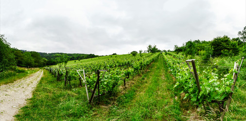 Similar image 10455197