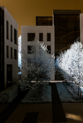 Similar image 10455200