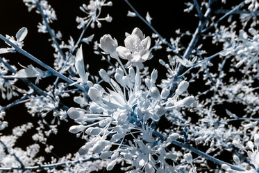 Similar image 10455204