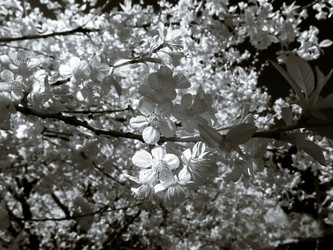 Similar image 10455211