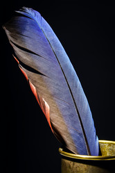 Similar image 10455218