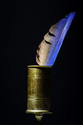 Similar image 10455219