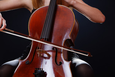 Similar image 10455262