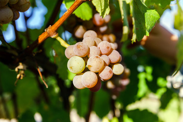 Similar image 10455342