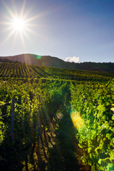 Similar image 10455344