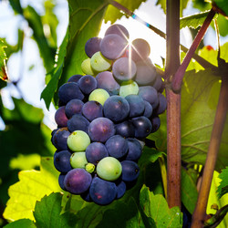 Similar image 10455345