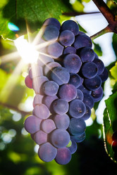 Similar image 10455349