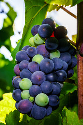 Similar image 10455350