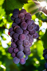 Similar image 10455351