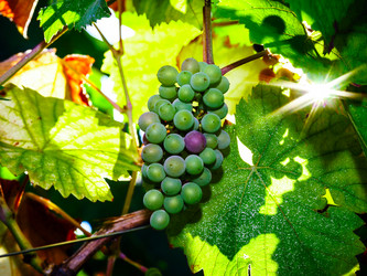 Similar image 10455352