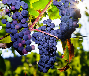 Similar image 10455353