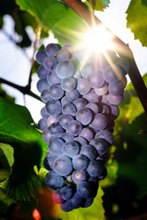 Similar image 10455357