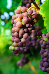 Similar image 10455359