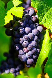 Similar image 10455361