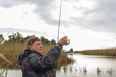 Similar image 10456055