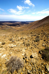 Similar image 10456147