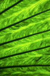 Similar image 10456150