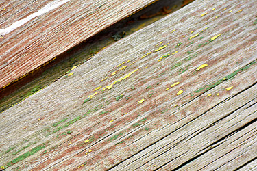 Similar image 10456185