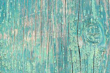 Similar image 10456186