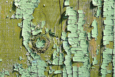 Similar image 10456203