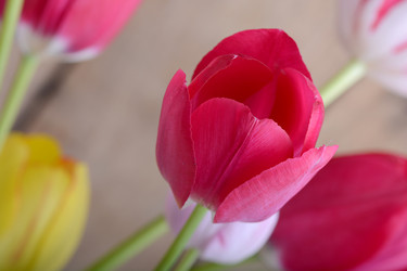 Similar image 10456282