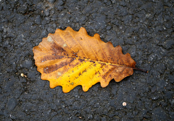 Similar image 10456322