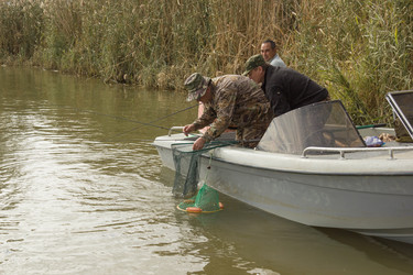 Similar image 10456326