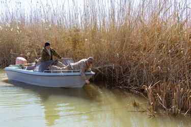 Similar image 10456327